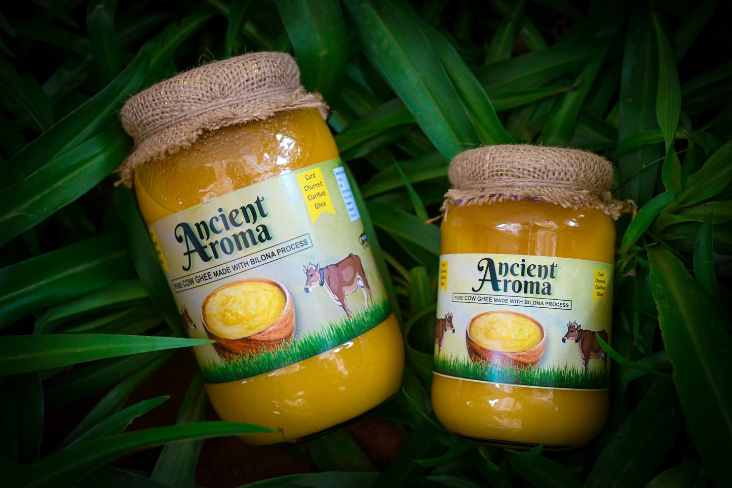 Ancient Aroma Desi Cow Ghee (A2)